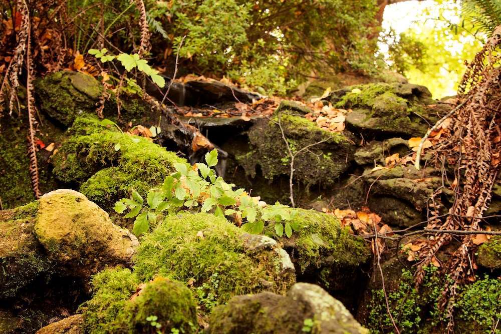 Nesuto Gardens 4* Leura