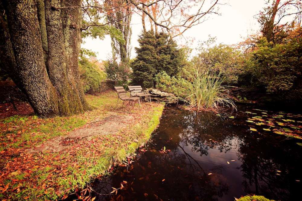 Nesuto Gardens Resort Leura