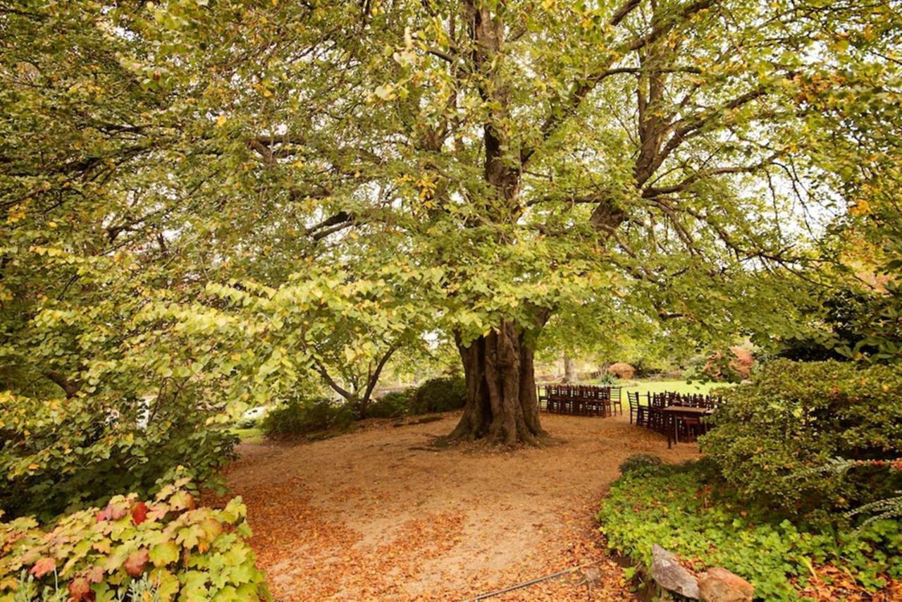 Resort Nesuto Gardens Leura